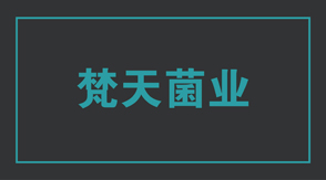 食品行业北京朝阳t恤衫设计款式